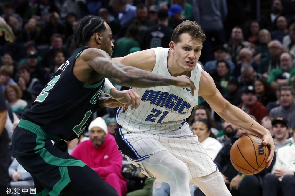 夏洛特黄蜂 夏洛特黄蜂